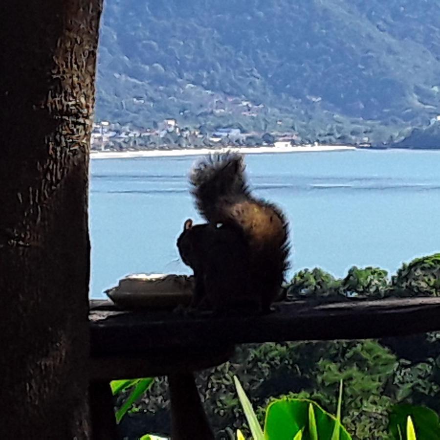 Pousada Ubatuba Do Alto 호텔 외부 사진